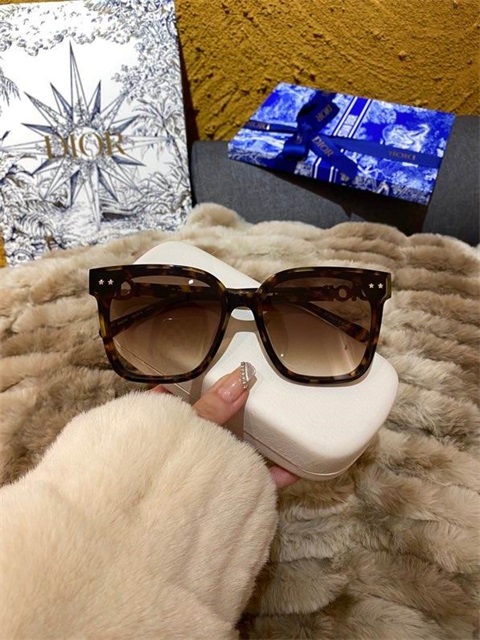 dior sunglass-113